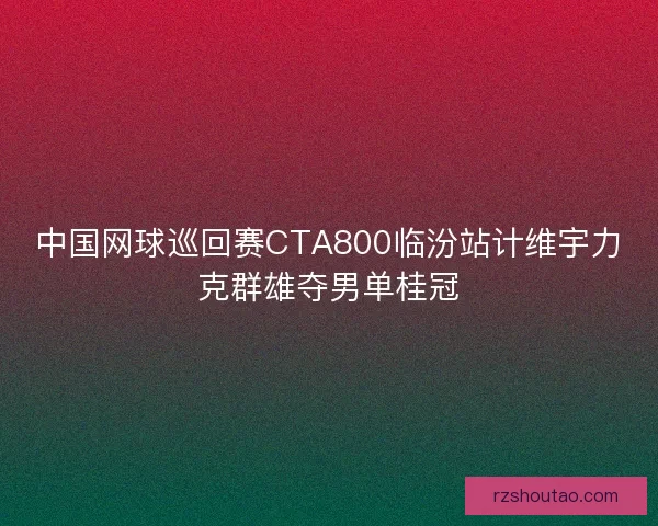 中国网球巡回赛CTA800临汾站计维宇力克群雄夺男单桂冠